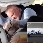 Flight Attendant Punches Screaming Man for Bizarre Reason