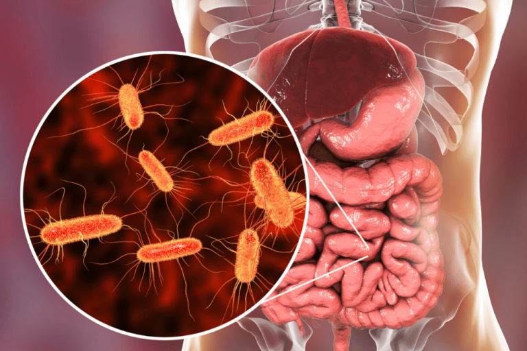 Are There More Bacteria Than Human Cells in Our Bodies?