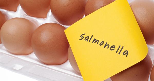 Salmonella Outbreak Linked to Egg Recall Sickens 79 Across 7 States