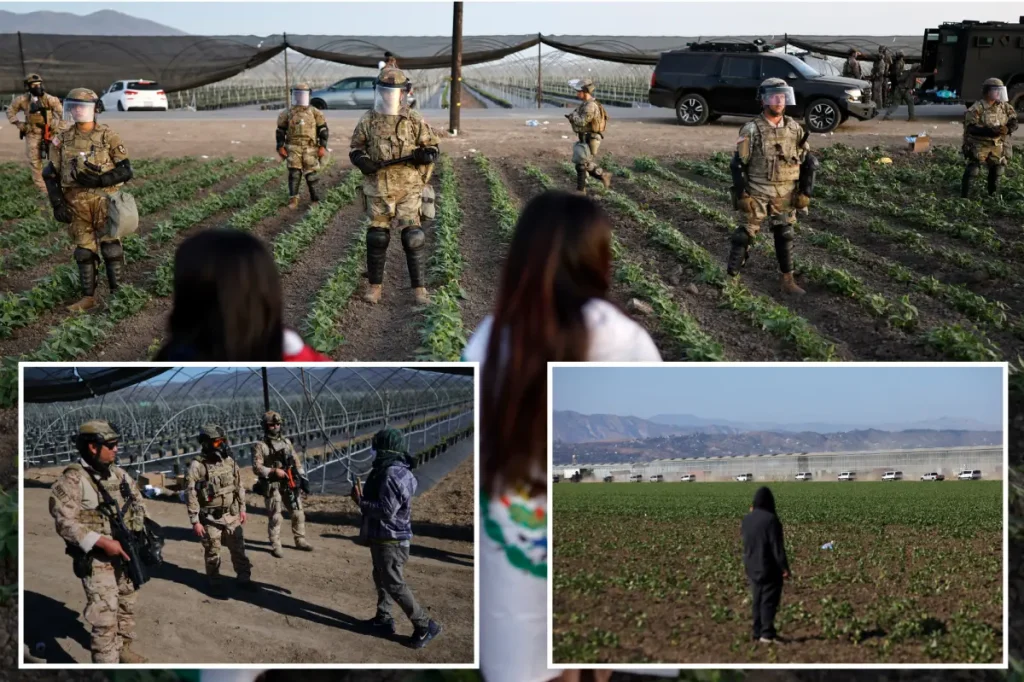 Federal Raids on California Cannabis Farms Lead to Arrests and Child Labor Investigation