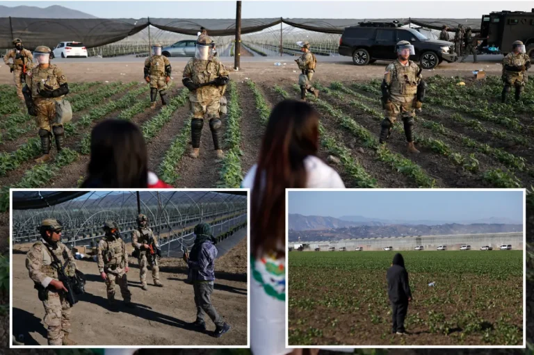 Federal Raids on California Cannabis Farms Lead to Arrests and Child Labor Investigation