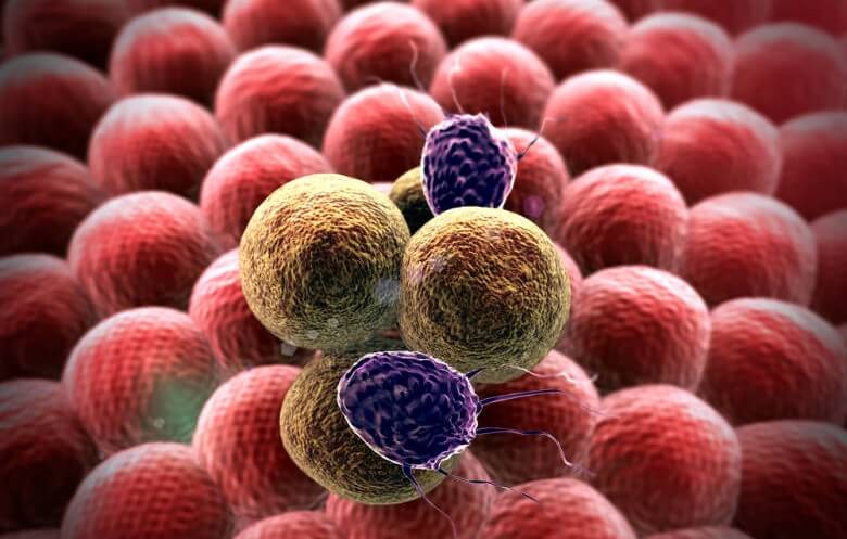Man Beats Cancer With Unusual Treatment — Could Anti-Parasitic Drugs Be the Key?