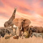 Northern White Rhino Declared Extinct: A Tragic Loss for Wildlife