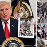 Trump Administration Pauses Immigration  Applications for 19 Countries!