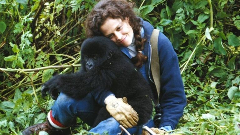 Dian Fossey: The Woman Who Devoted Her Life to Protecting Gorilla