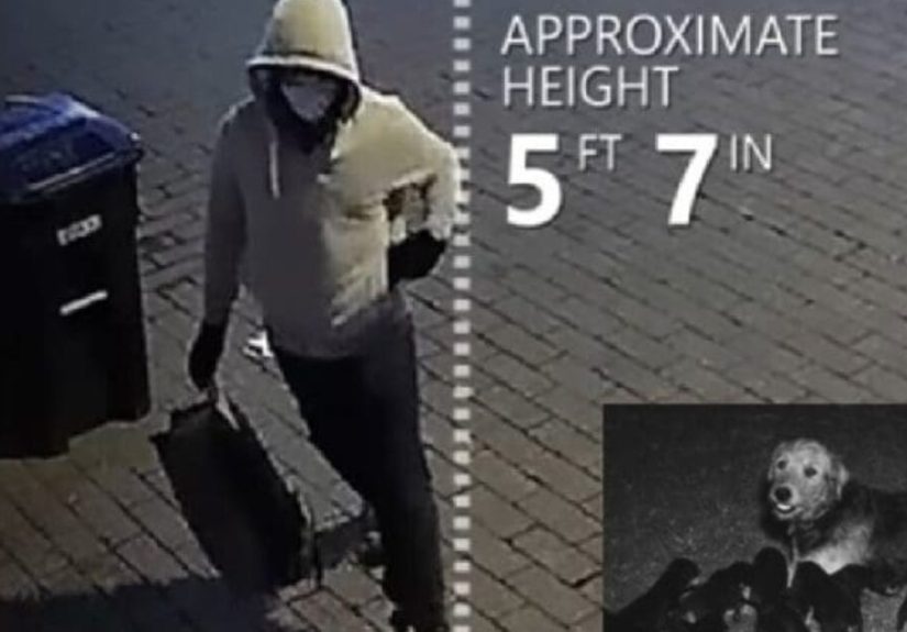 FBI Makes Breakthrough Arrest in DC Pipe Bomber Case