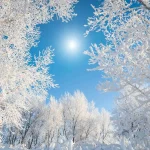 Winter Storm Chaos Sweeps the U.S. as Meteorologists Declare Winter Official