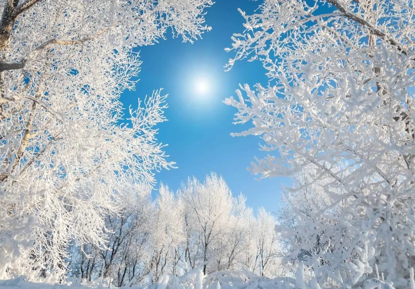 Winter Storm Chaos Sweeps the U.S. as Meteorologists Declare Winter Official